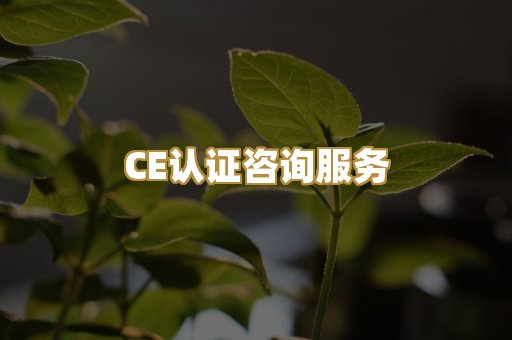 CE认证咨询服务