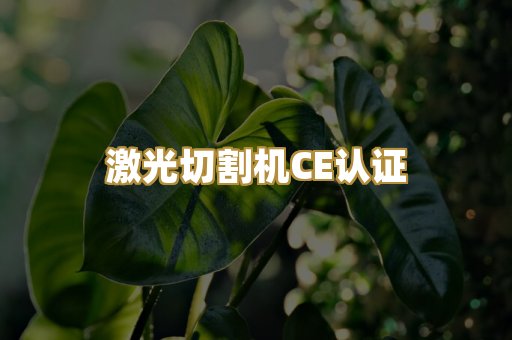 激光切割机CE认证